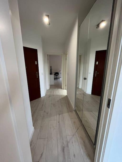 New Apartment Old Town -6 People - 200M Town Hall Wrocław Exteriör bild